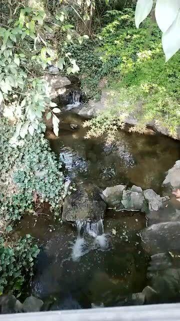 组装机械恐龙3