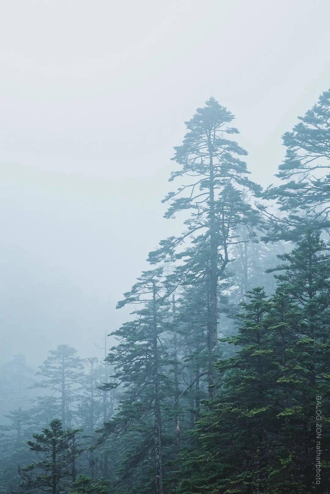 中级经济师挂靠游戏画面