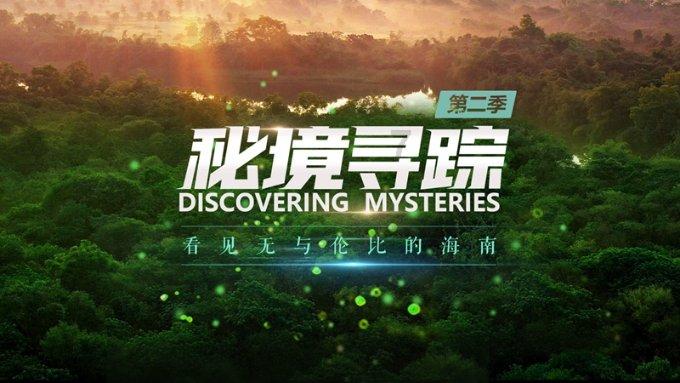 秋季浪漫约会