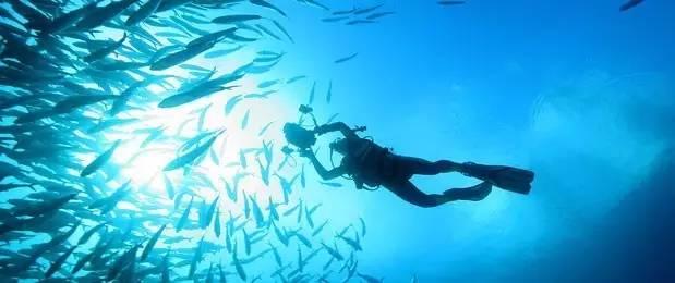 浪漫衣裙